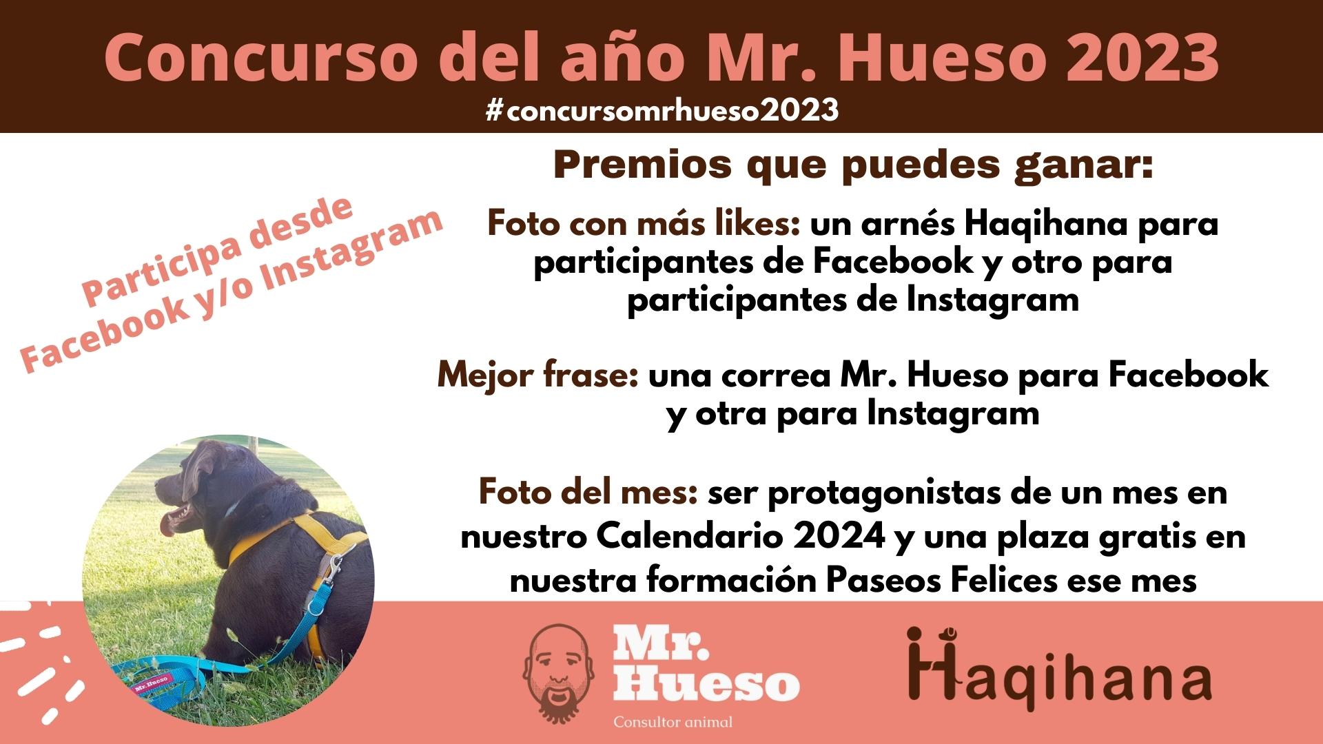 Premios del Concurso del año Mr. Hueso 2023