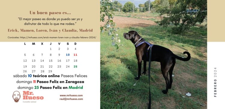 Erick, Mamen, Loren, Iván y Claudia, febrero Calendario Mr. Hueso 2024 Erick es el protagonista del mes de febrero de 2024, en la foto está paseando con arnés azul Haqihana y correa negra Mr. Hueso por un parque