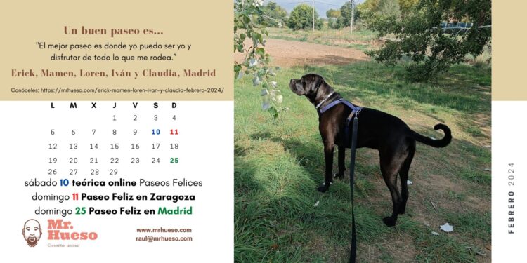 Erick es el protagonista del mes de febrero de 2024, en la foto está paseando con arnés azul Haqihana y correa negra Mr. Hueso por un parque