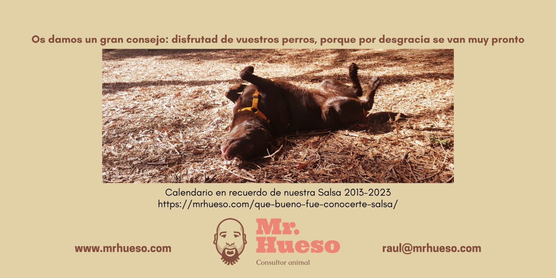 Contraportada Salsa Calendario Mr. Hueso 2024 Salsa haciendo una croqueta, una buena forma de recordarla siendo feliz, es la contraportada del Calendario Mr. Hueso 2024 en su honor