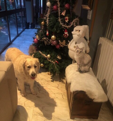 Homer y Lucy, junto a un árbol de navidad