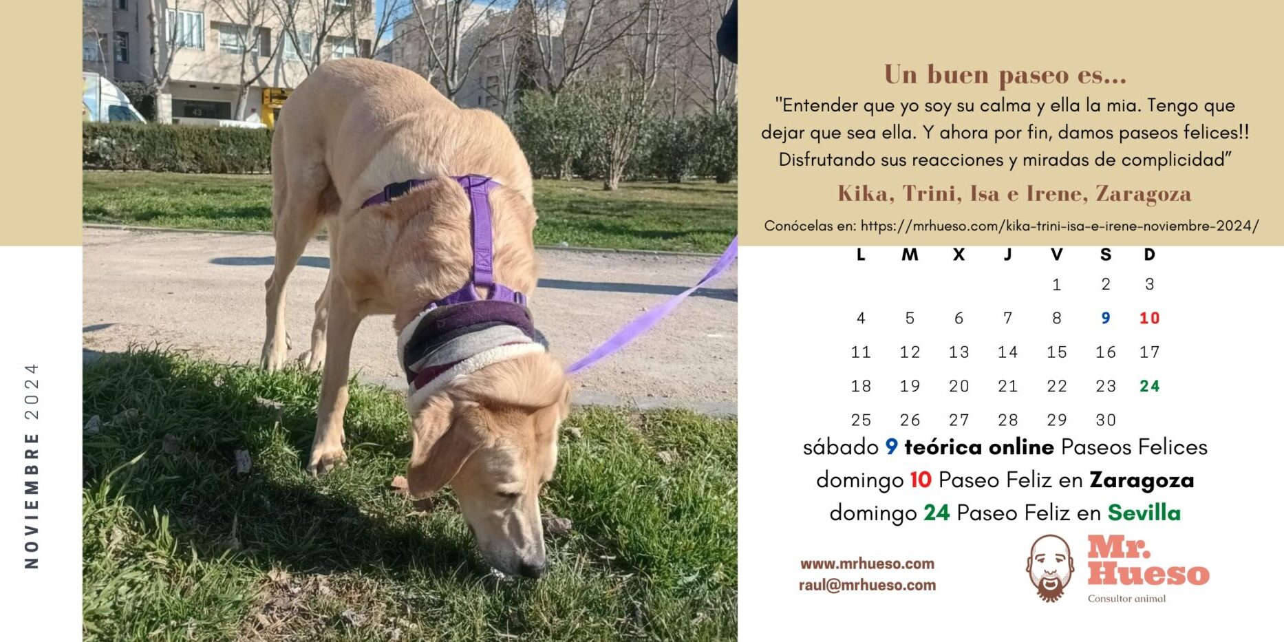 Kika, Trini, Isa e Irene, noviembre Calendario Mr. Hueso 2024 Kika es una mestiza de labrador y mastín, pasea con arnés y correa moradas