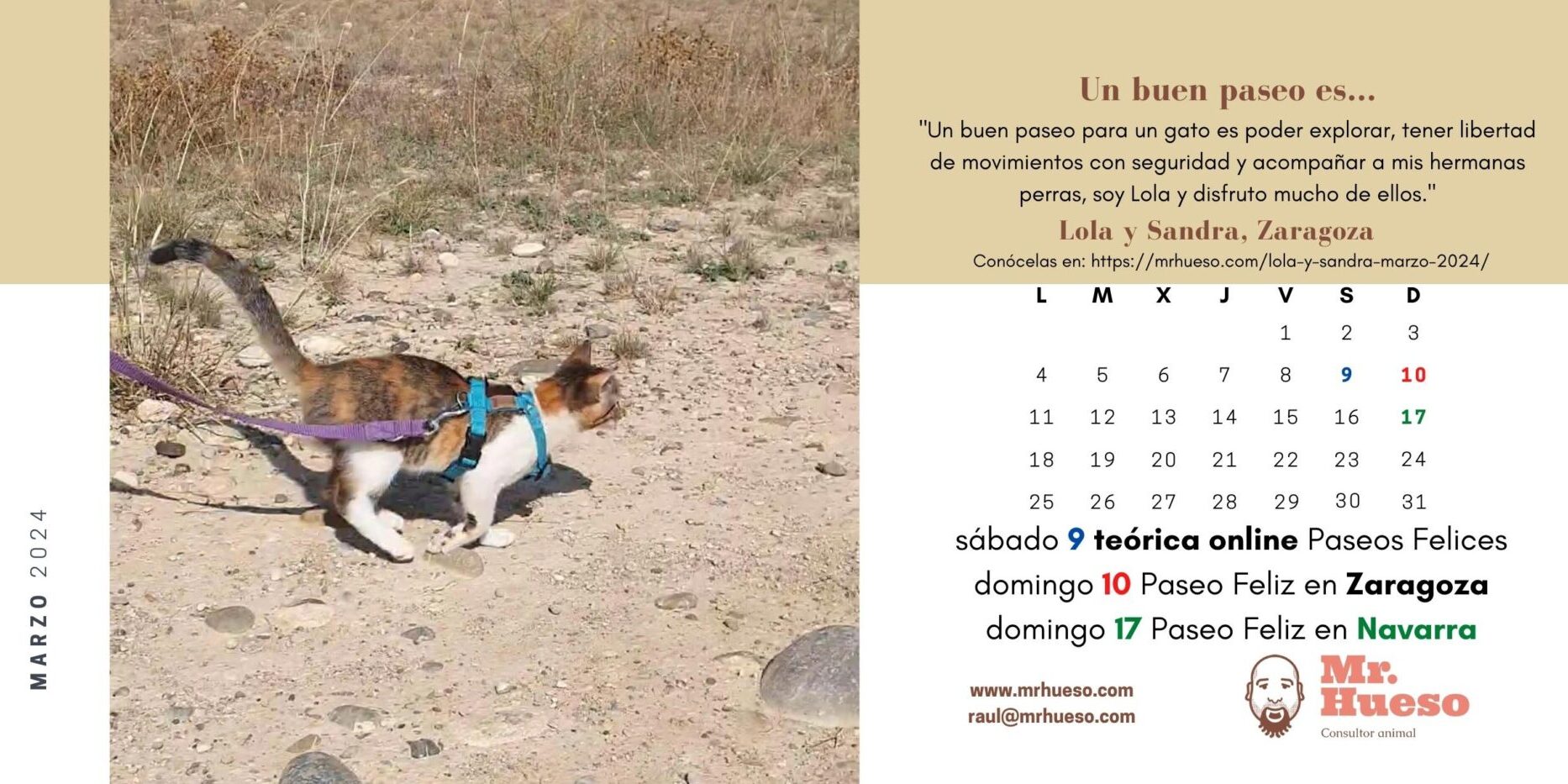 Lola paseando por el campo con arnés Haqihana y correa Mr. Hueso