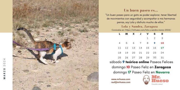 Lola paseando por el campo con arnés Haqihana y correa Mr. Hueso