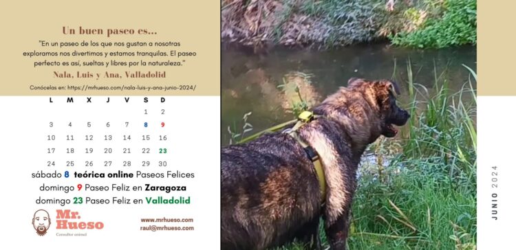 Nala, Luis y Ana, junio Calendario Mr. Hueso 2024 página de junio del Calendario Mr. Hueso 2024, con Nala como protagonista y paseo grupal en Valladolid