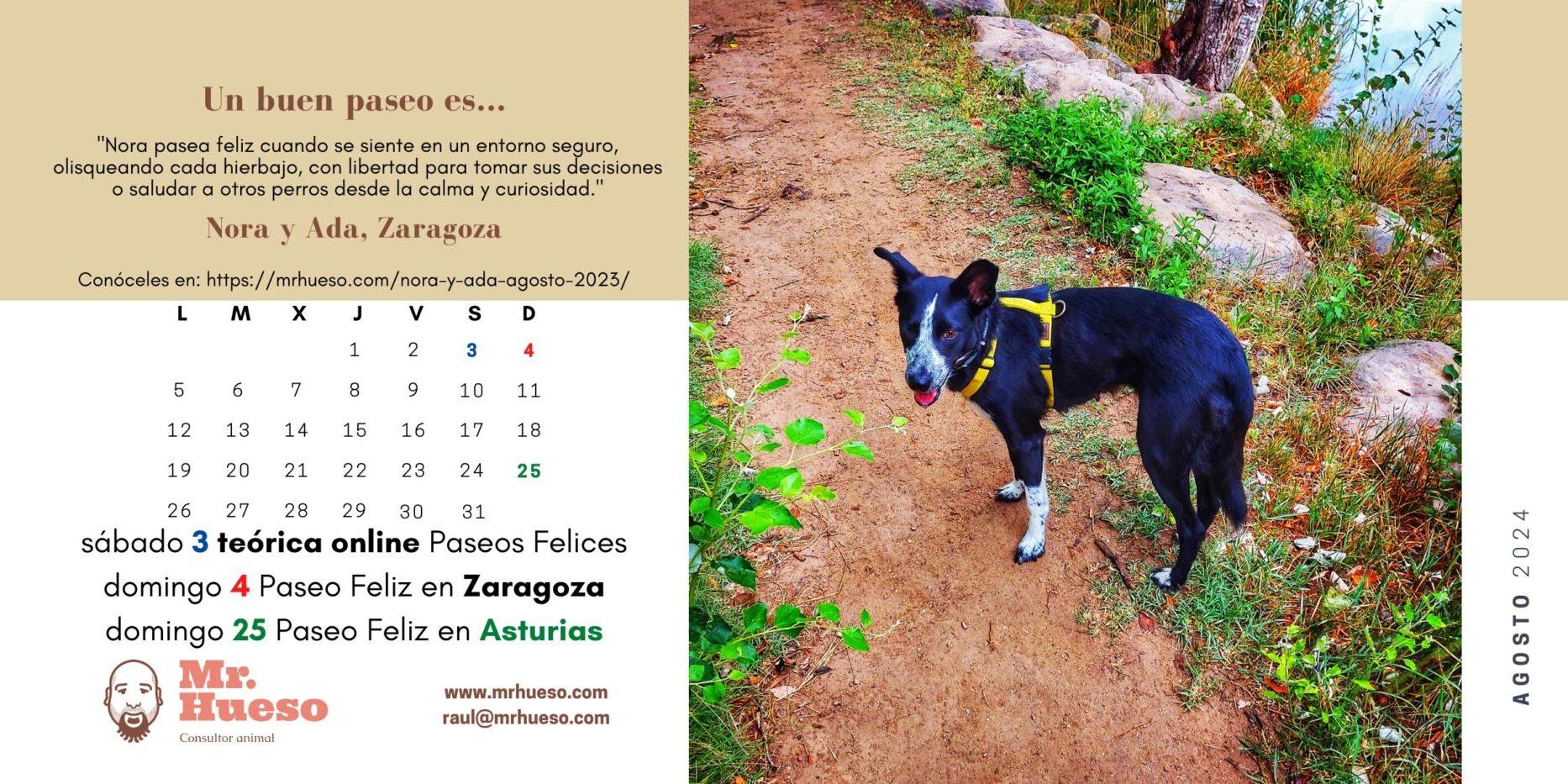 Nora y Ada, agosto Calendario Mr. Hueso 2024 Nora es la protagonista del mes de agosto en nuestro calendario 2024, está paseando por el campo con arnés amarillo