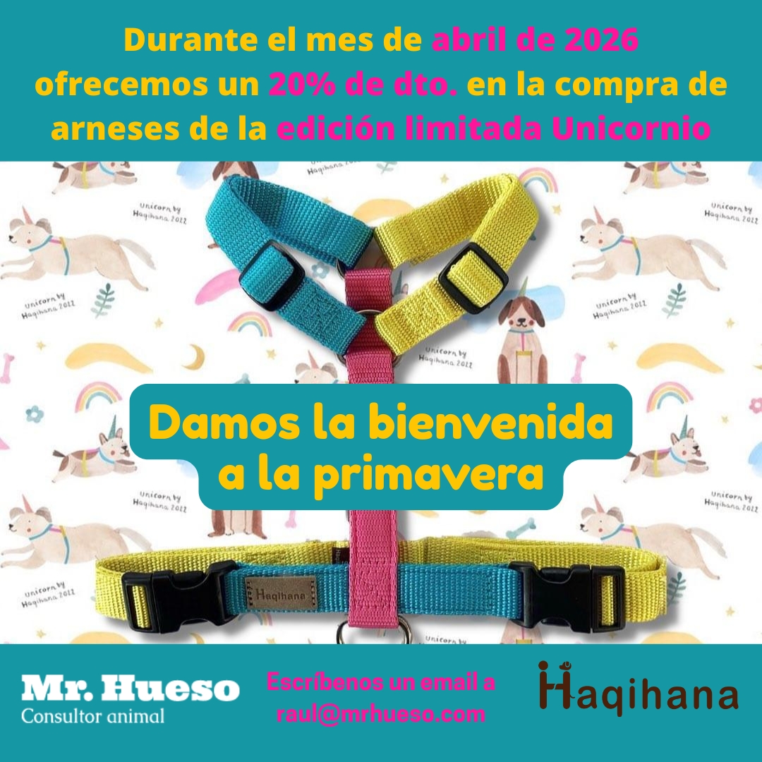 Bienvenida a la primavera con un 20% de descuento en los arneses de edición limitada y numerada Unicornio