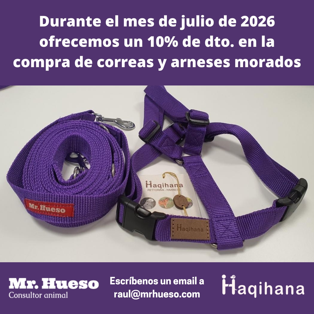 en julio de 2026 ofrecemos un 10% de descuento en correas y arneses de color morado