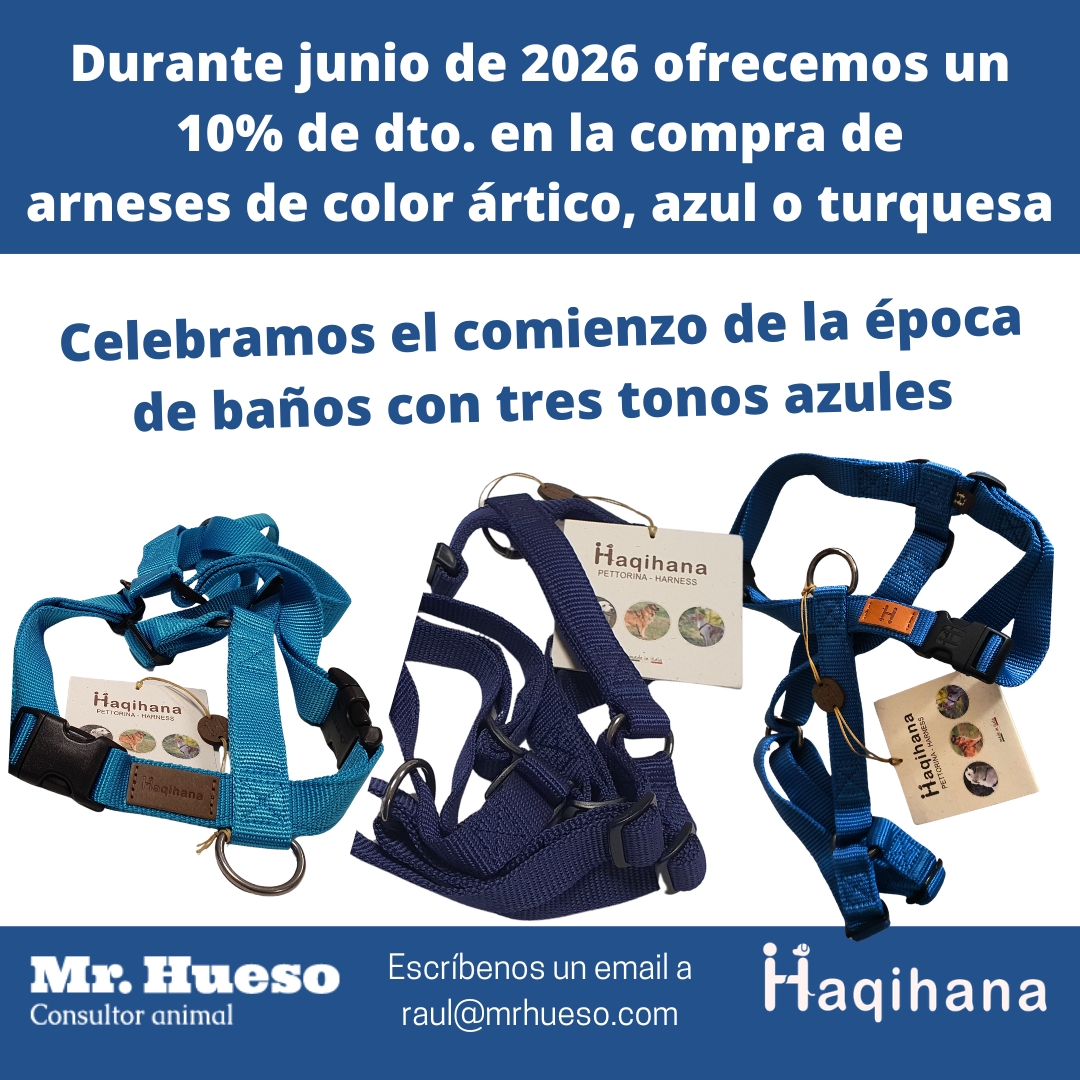 En junio 2026 celebramos la llegada de época de baños con un dto del 10% en arneses de los 3 tonos azules
