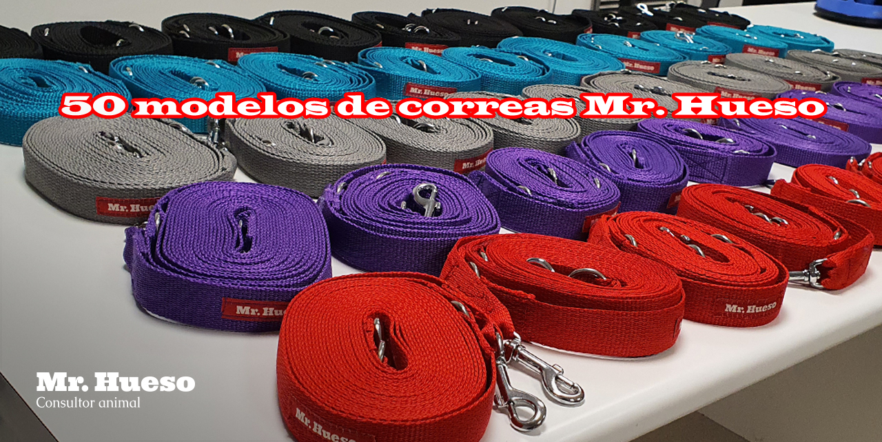 Una unidad de cada modelo de correas Mr. Hueso, 10 referencias en 5 colores diferentes, negro, azul, gris, morado y rojo