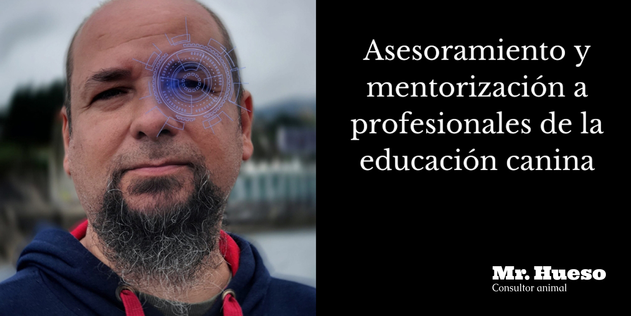 Asesoramiento y mentorización a profesionales de la educacion canina, Mr. Hueso Aparece una foto de Raúl de Mr. Hueso, con un diseño técnico en uno de sus ojos