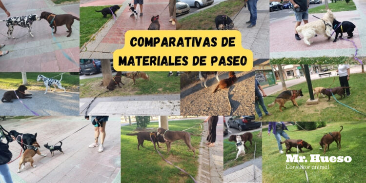 Portada del artículo con un collage con muchos ejemplos de perros saludándose con materiales de paseo diferentes