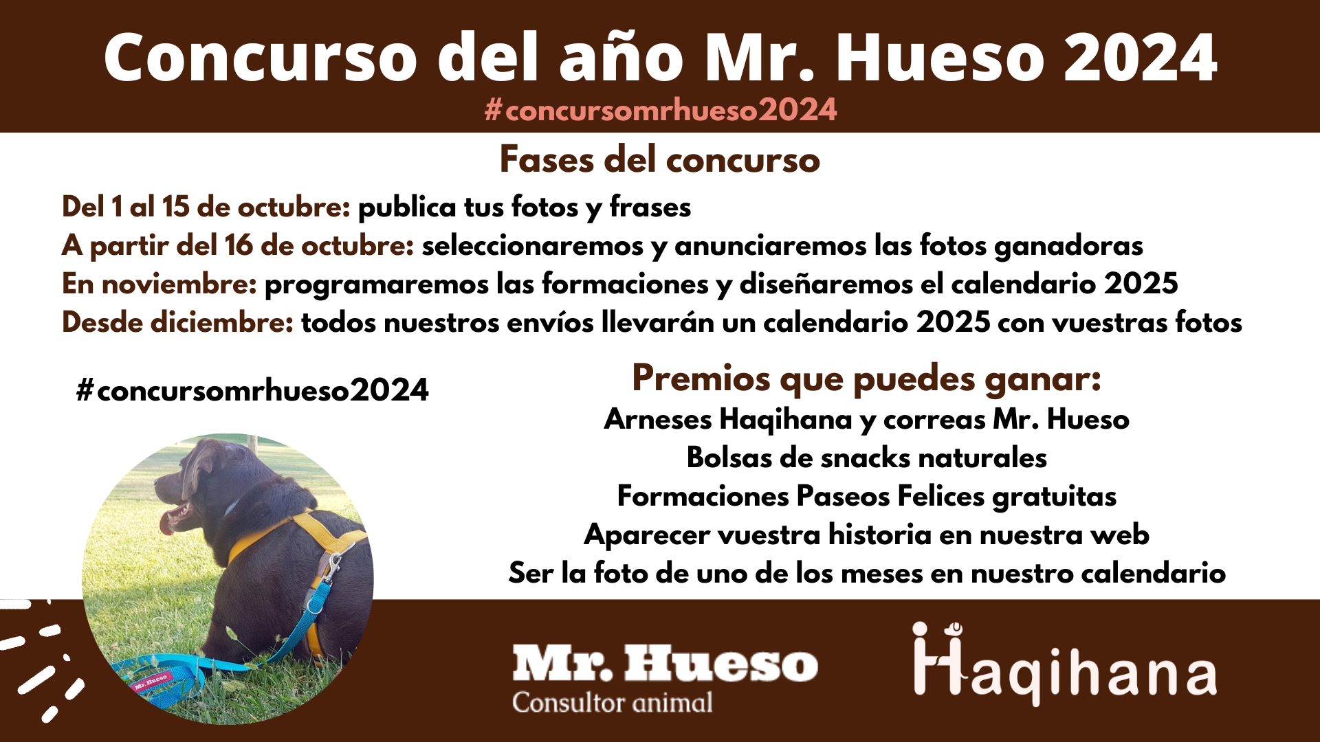 Fases y fechas del Concurso del año 2024 de Mr. Hueso