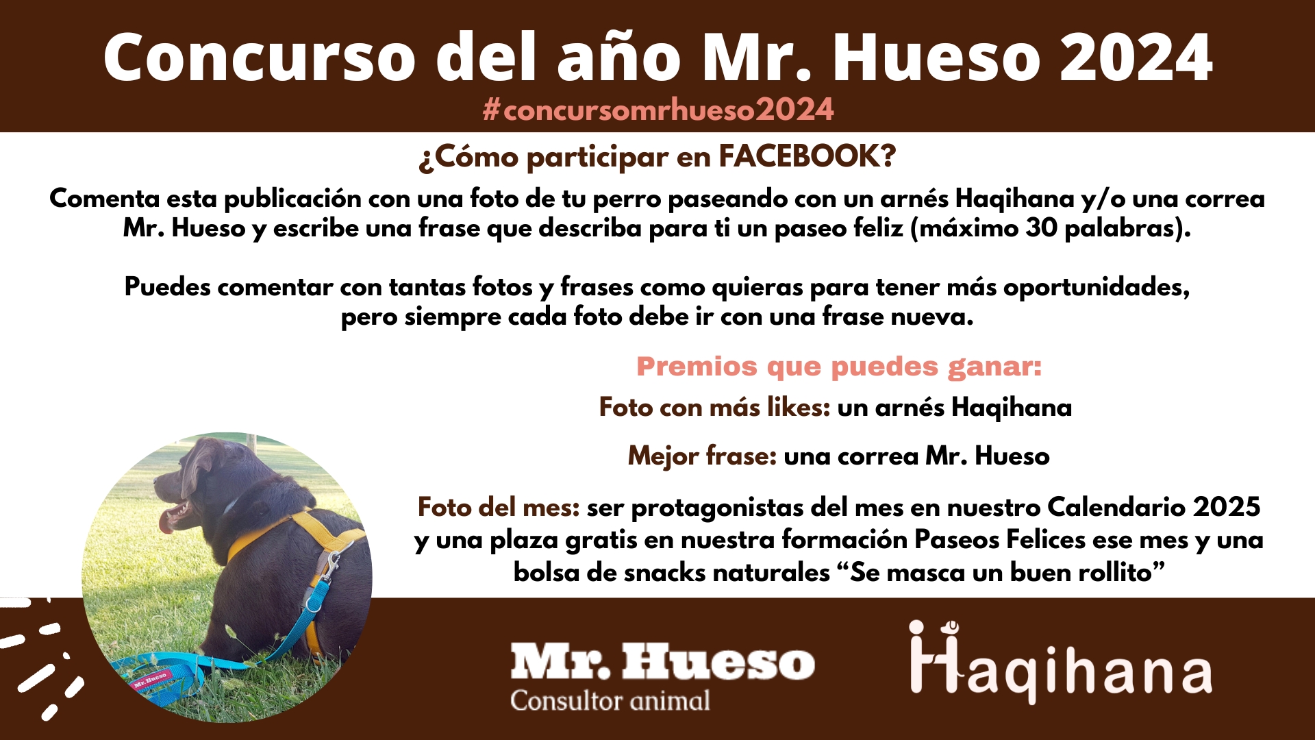 Cómo participar en Facebook en el Concurso del año 2024 de Mr. Hueso