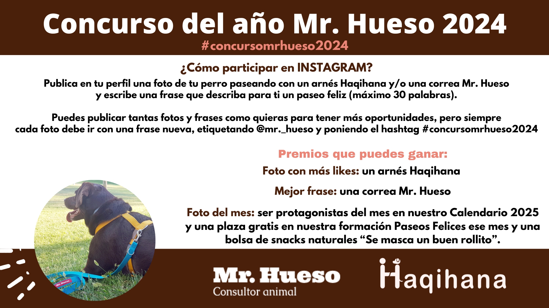 Cómo participar en Instagram en el Concurso del año 2024 de Mr. Hueso