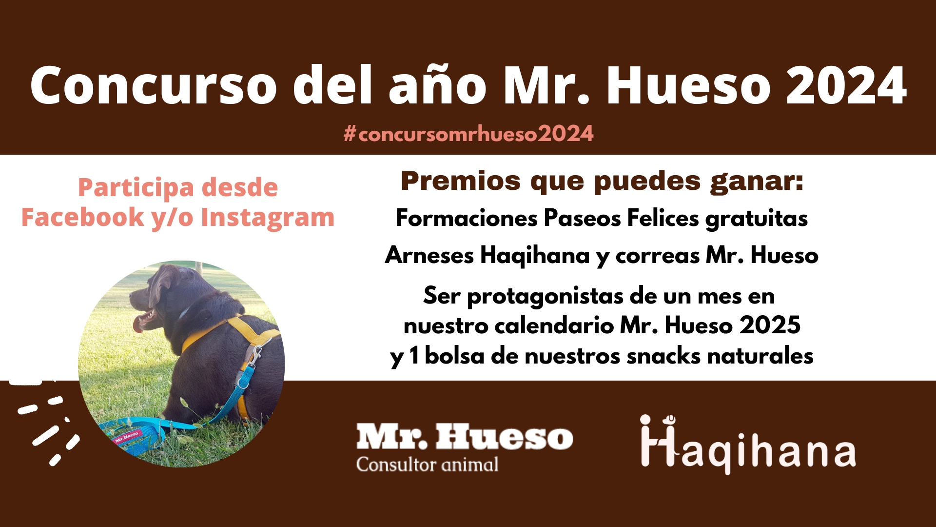 Premios a ganar en el Concurso del año 2024 de Mr. Hueso