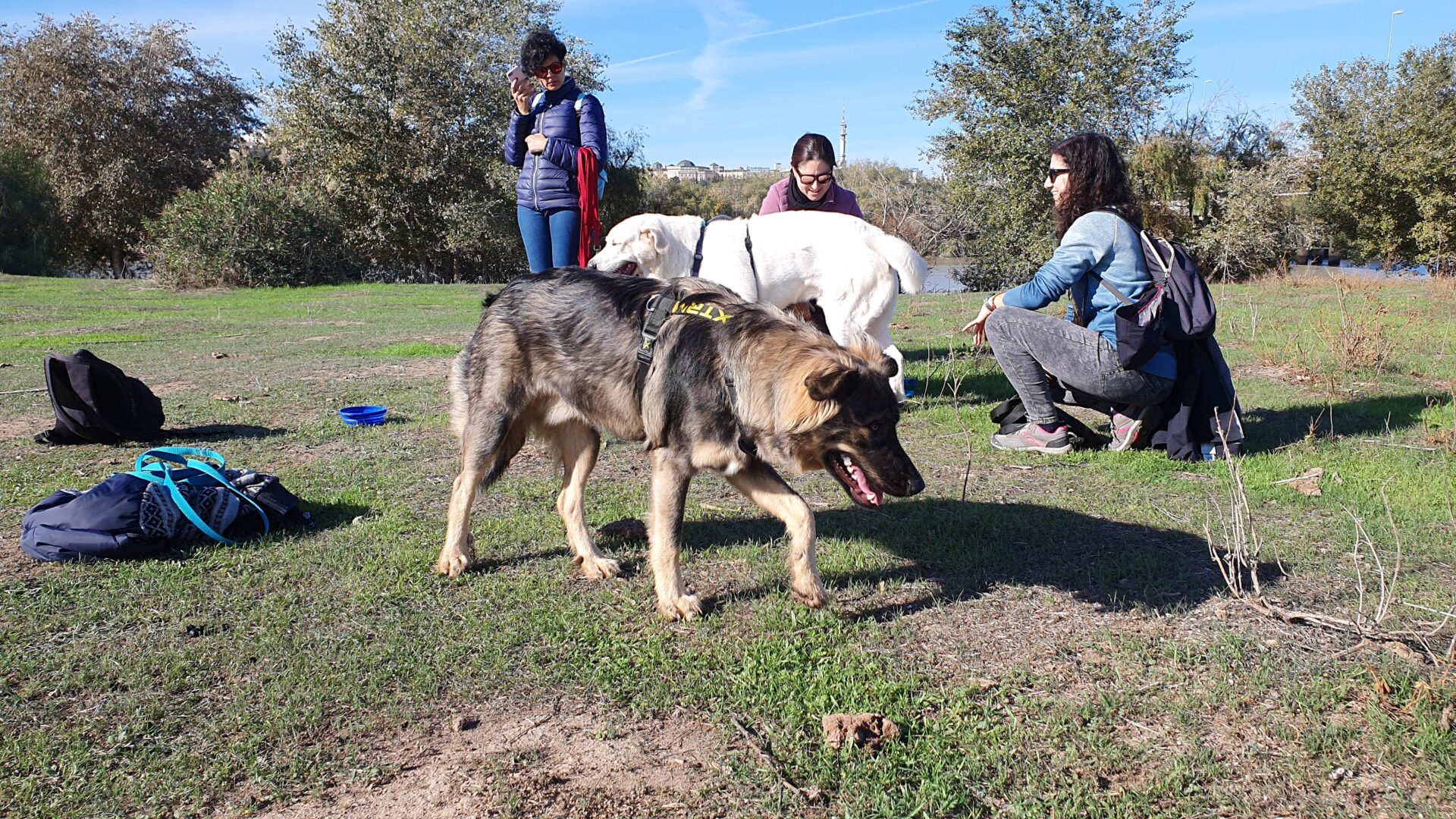 Baco cuando le conocimos en Sevilla con pocos meses