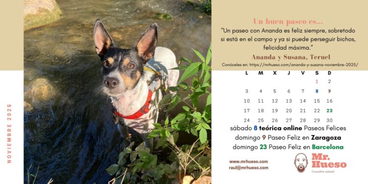 Ananda bañándose en el río, protagonista del mes de noviembre 2025