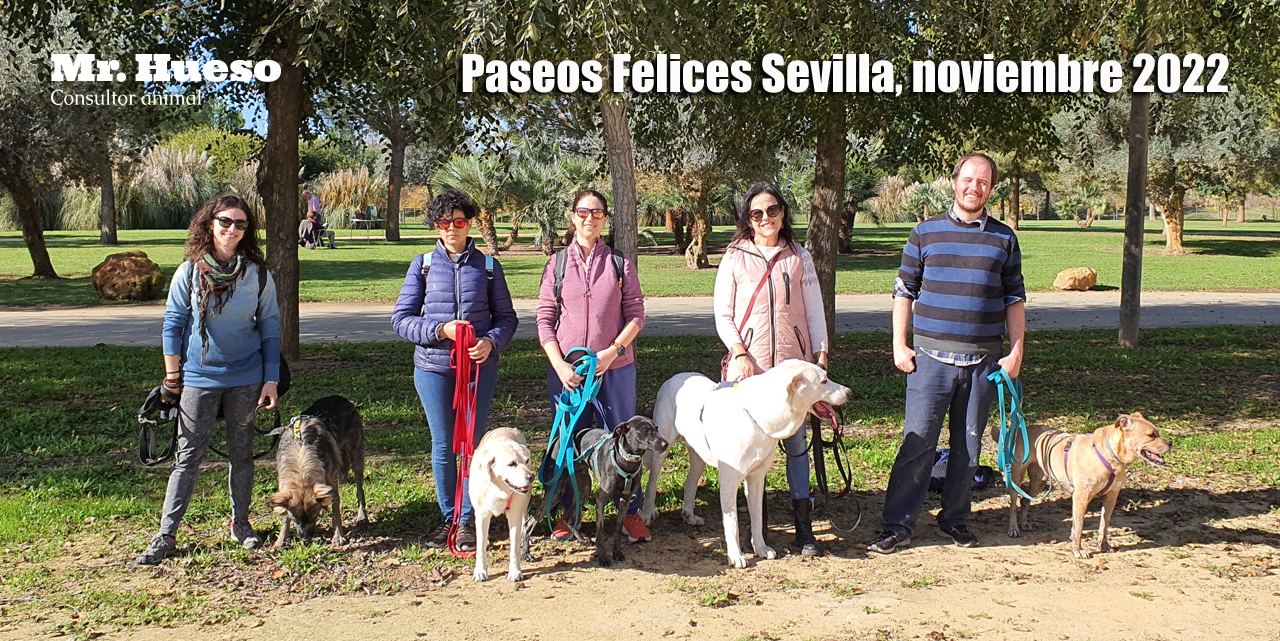 Grupo Paseo Feliz Sevilla 2022