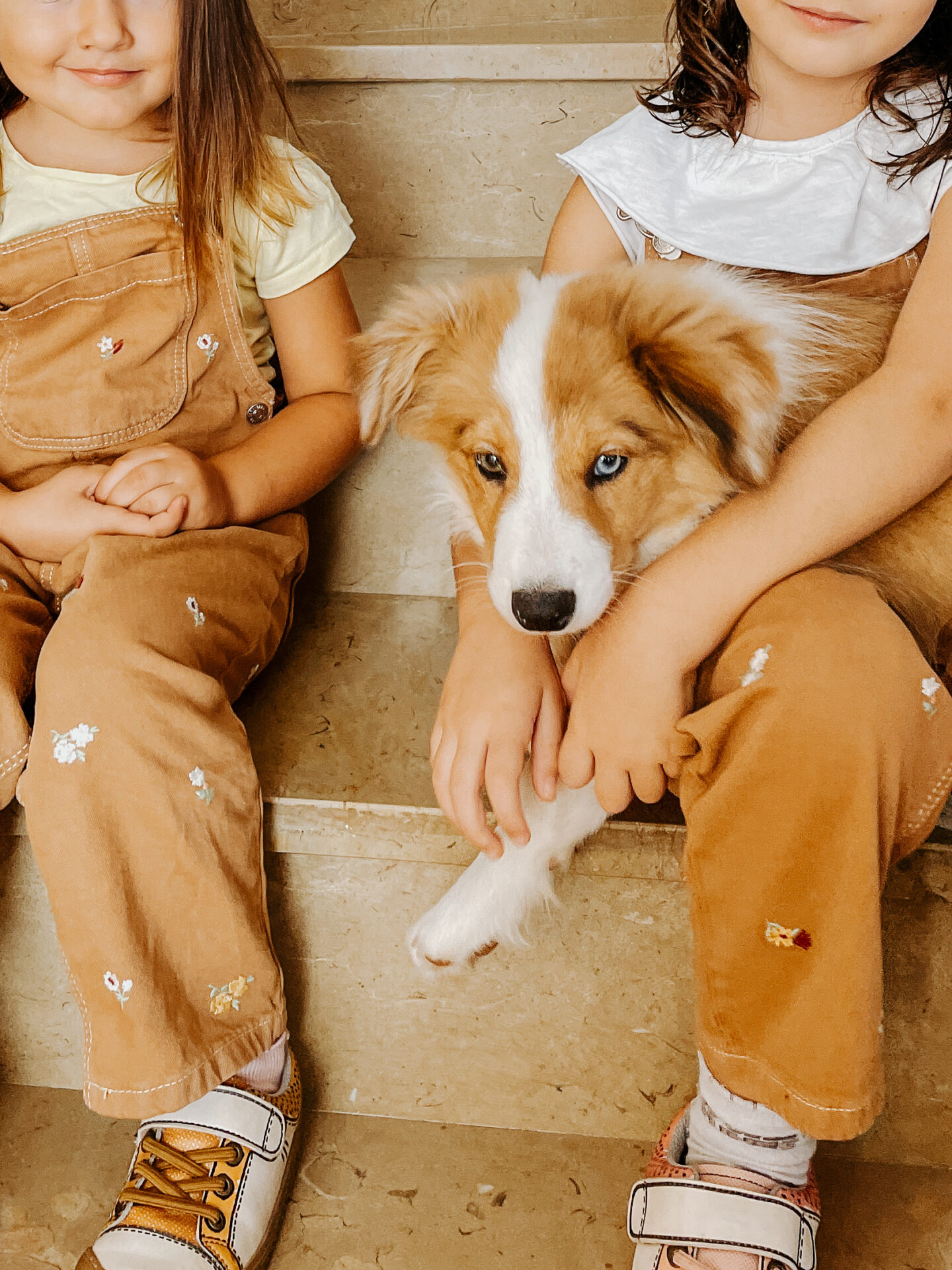 Siena con hermanas humanas