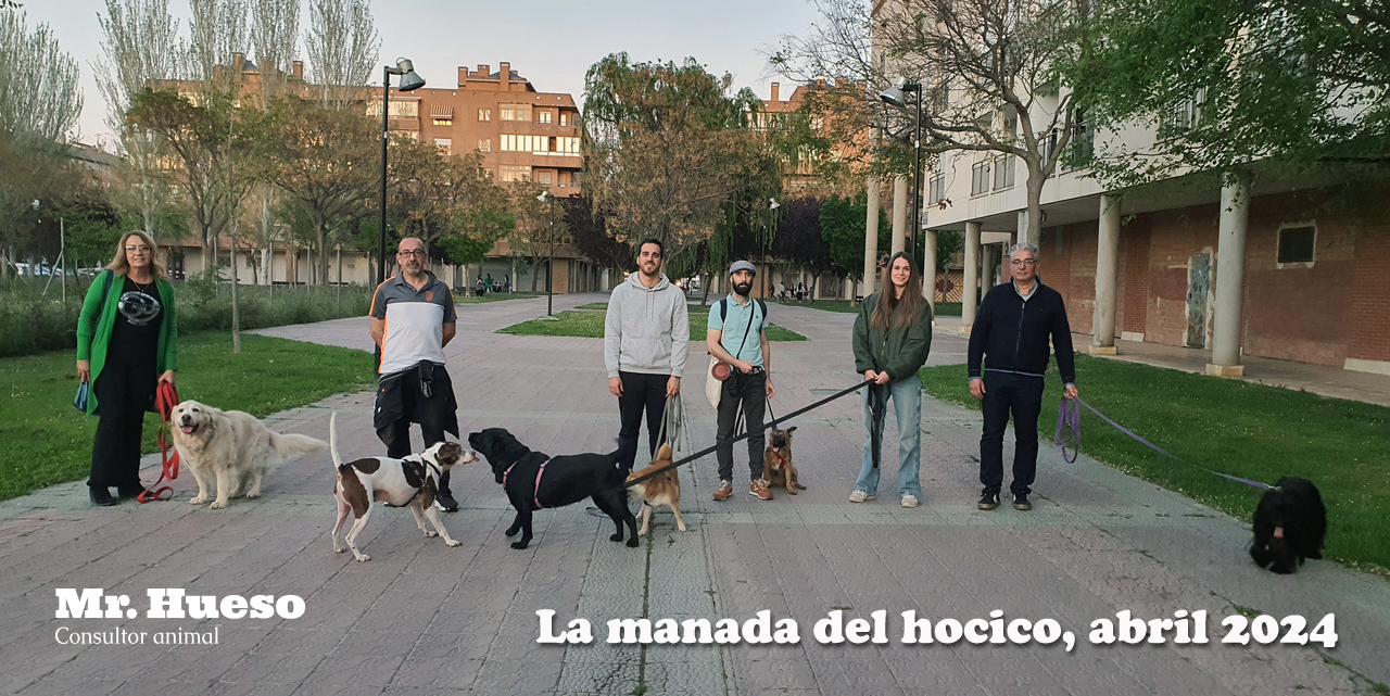 La manada del hocico, foto de grupo  de abril 2024 con Teo y muchos de sus amigos