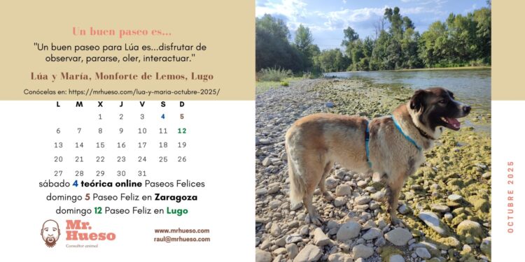 Lúa en la orilla de un río, protagonista del mes de octubre en el Calendario Mr. Hueso 2025