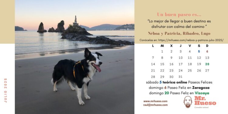 Néboa en la playa, protagonista del mes de julio en el Calendario Mr. Hueso 2025