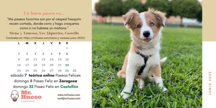 Siena es la protagonista del mes de junio en el Calendario Mr. Hueso 2025