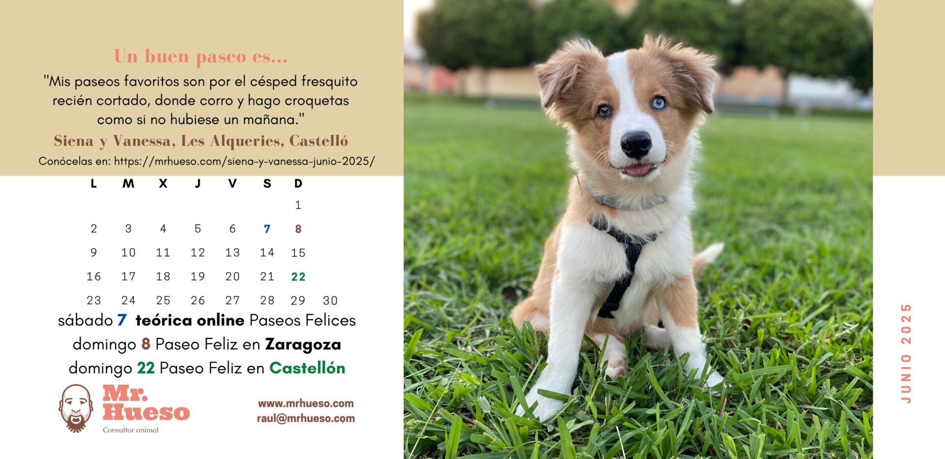 Siena es la protagonista del mes de junio en el Calendario Mr. Hueso 2025