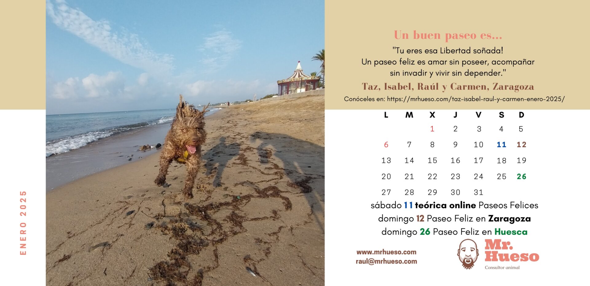 Taz es el protagonista del mes de enero en el Calendario Mr. Hueso 2025 y en la foto está disfrutando de un día de playa