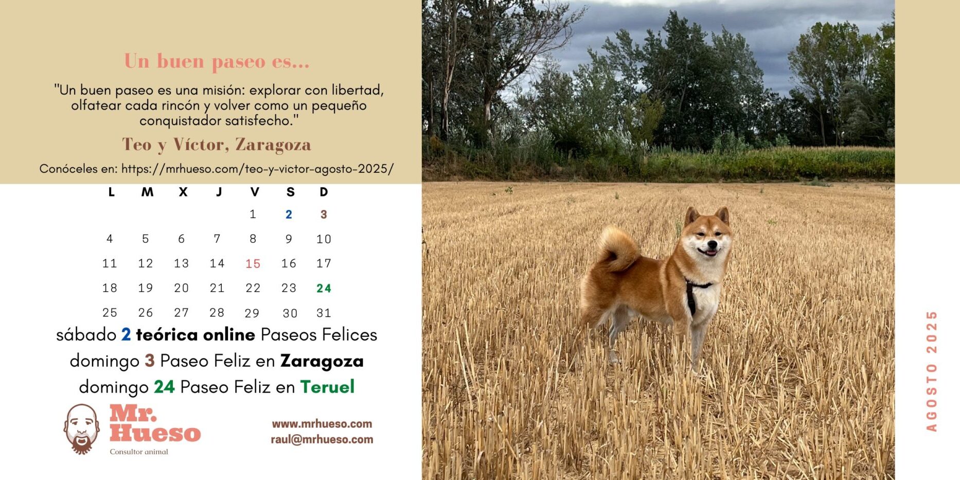 Teo es el protagonista el mes de agosto en el Calendario Mr. Hueso 2025