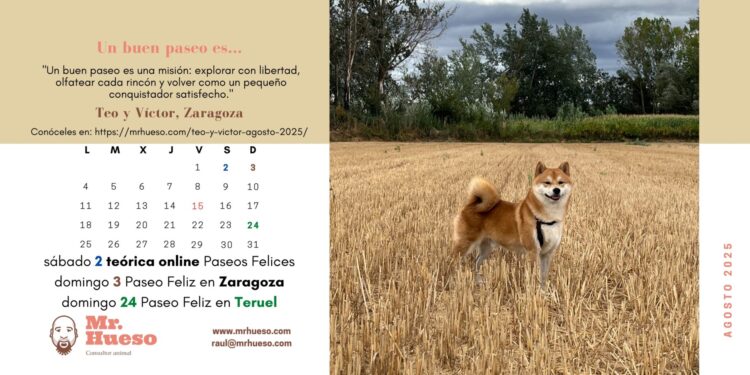 Teo es el protagonista el mes de agosto en el Calendario Mr. Hueso 2025