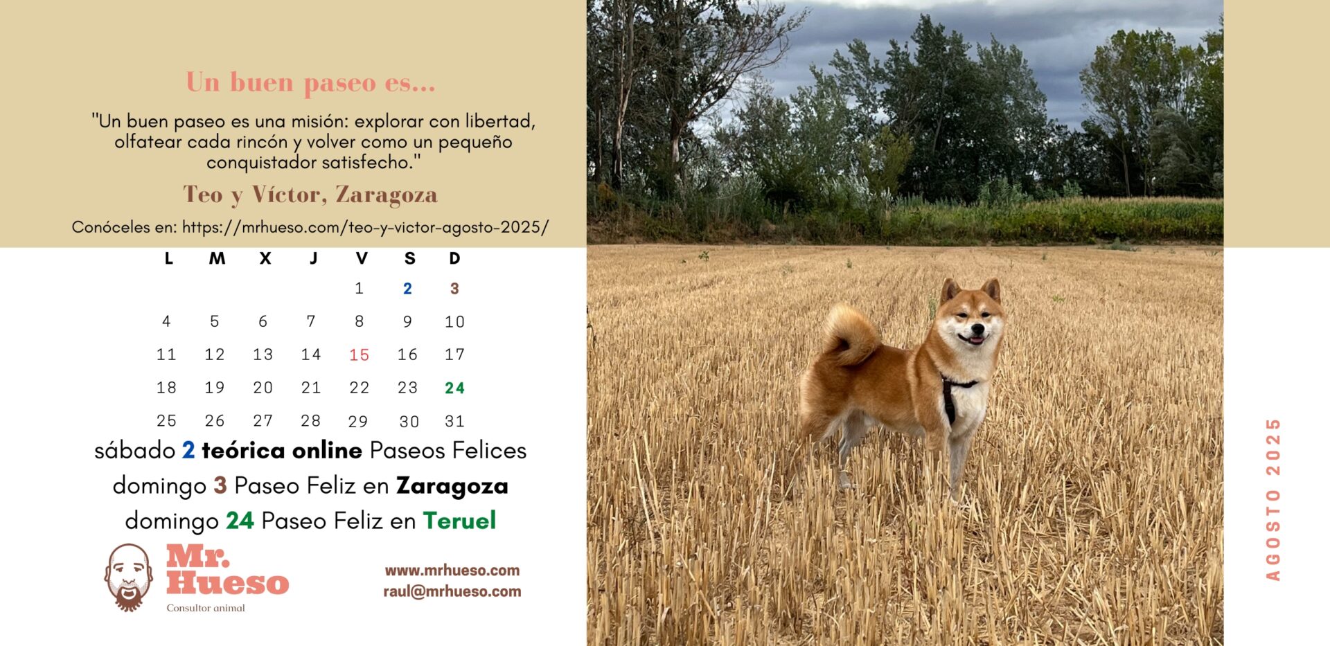 Teo es el protagonista el mes de agosto en el Calendario Mr. Hueso 2025