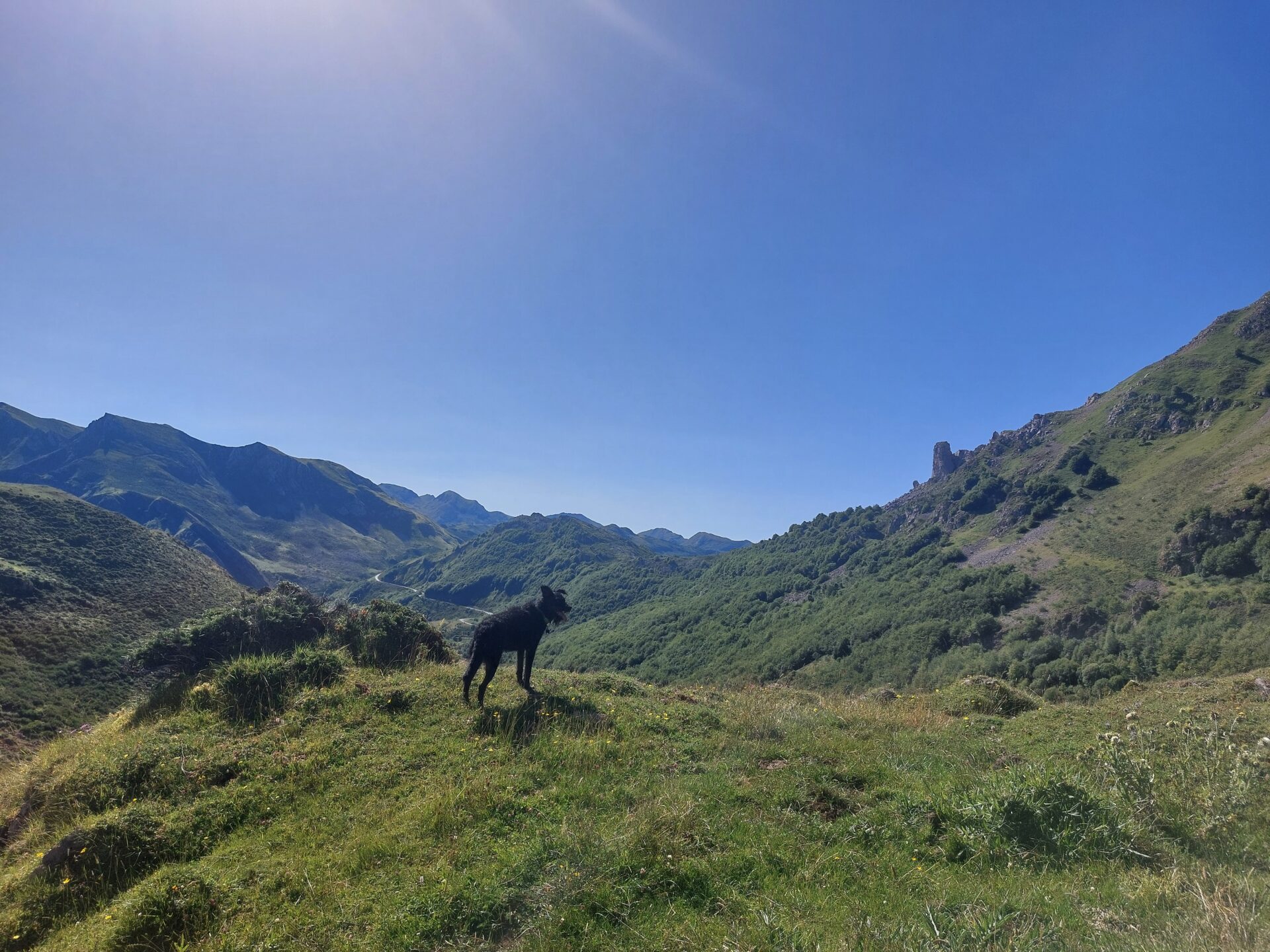 Tojo en la montaña