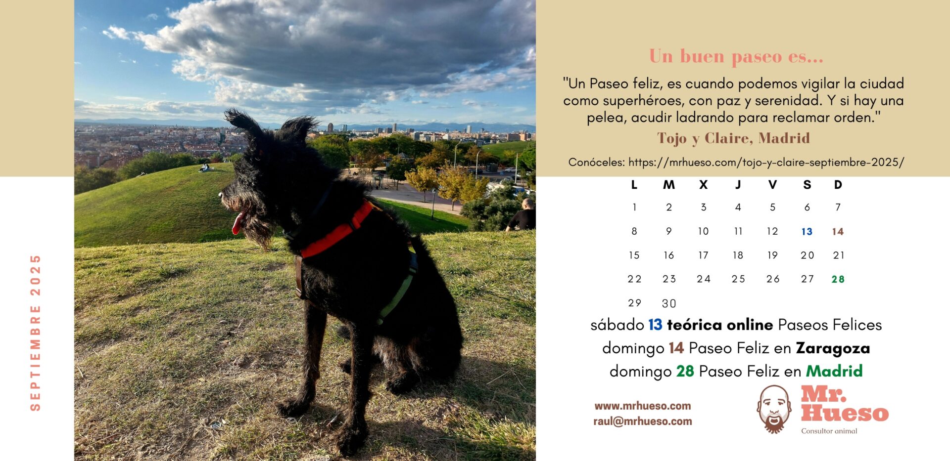 Tojo paseando en una cima, protagonista del mes de septiembre en el Calendario Mr. Hueso 2025