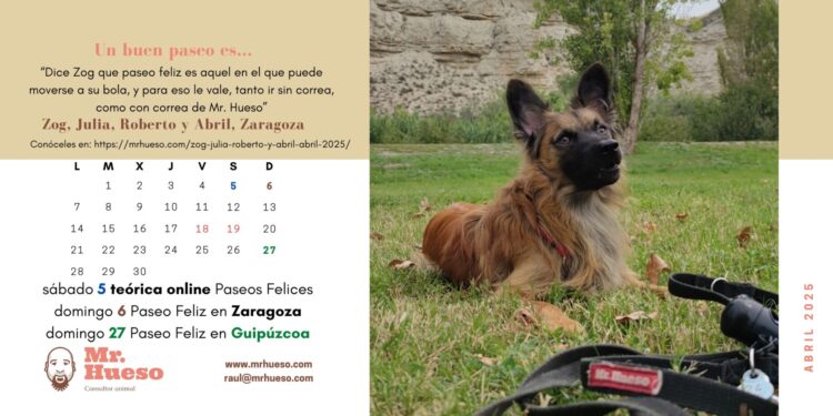 Zog es el protagonista del mes de abril en el Calendario Mr. Hueso 2025