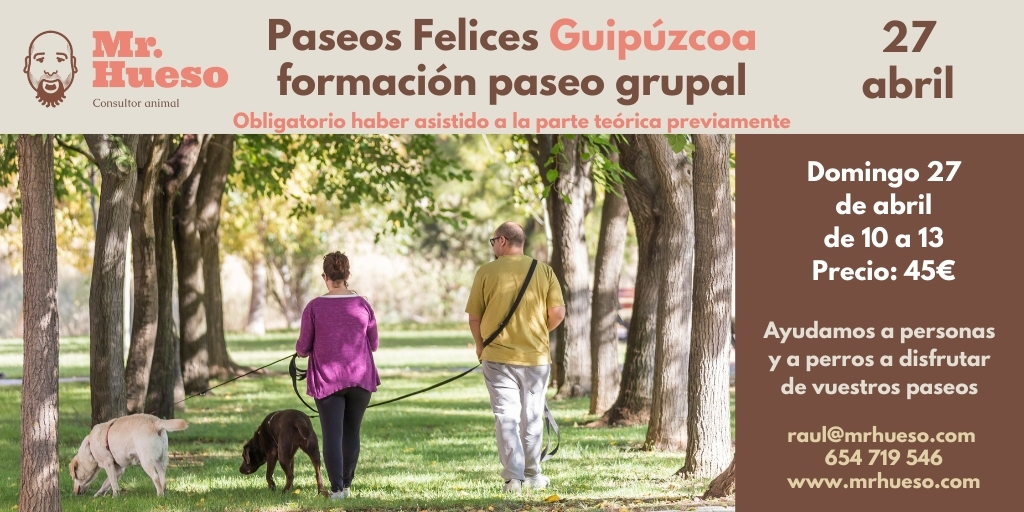 aparecen dos personas paseando con perros y la información de la actividad