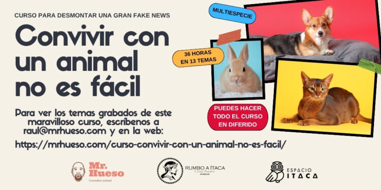 Fin de extractos ver el curso en diferido Modalidad en diferido del curso Convivir con un animal no es fácil