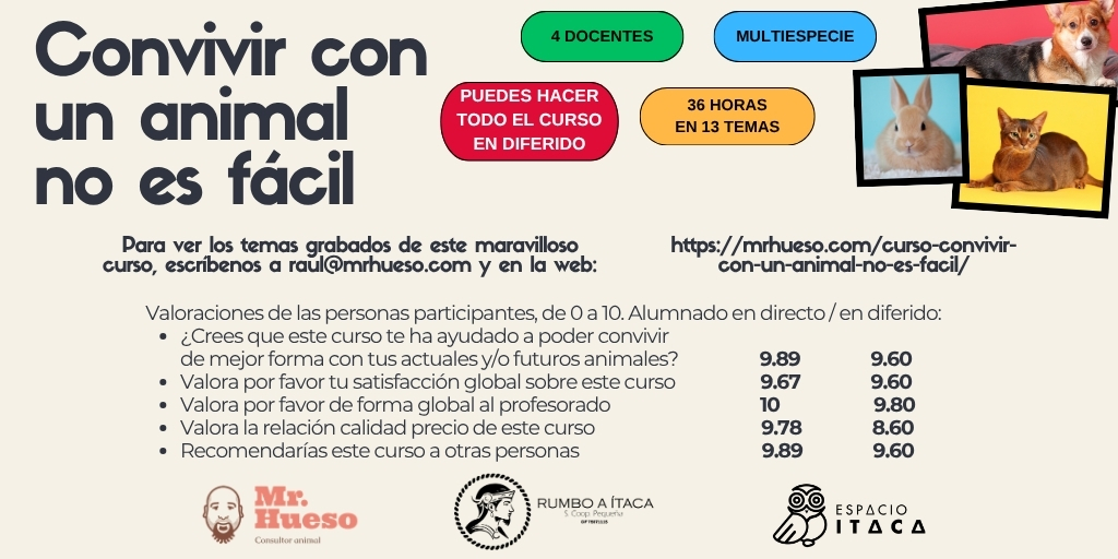 valoraciones alumnado en directo y en diferido en el primer aniversario del curso