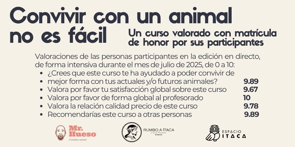 Valoraciones de las personas participantes en la edición en directo