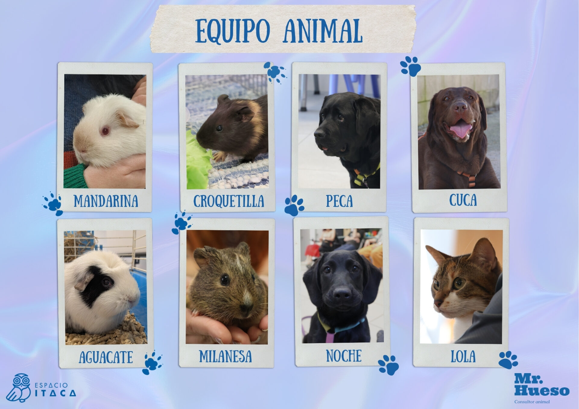 Aparecen nuestros animales: perras, gata y cobayas