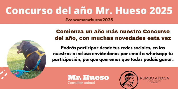 Concurso del año Mr. Hueso 2025