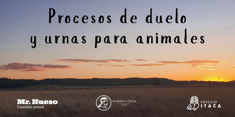 Procesos de duelo y fabricación de urnas para animales
