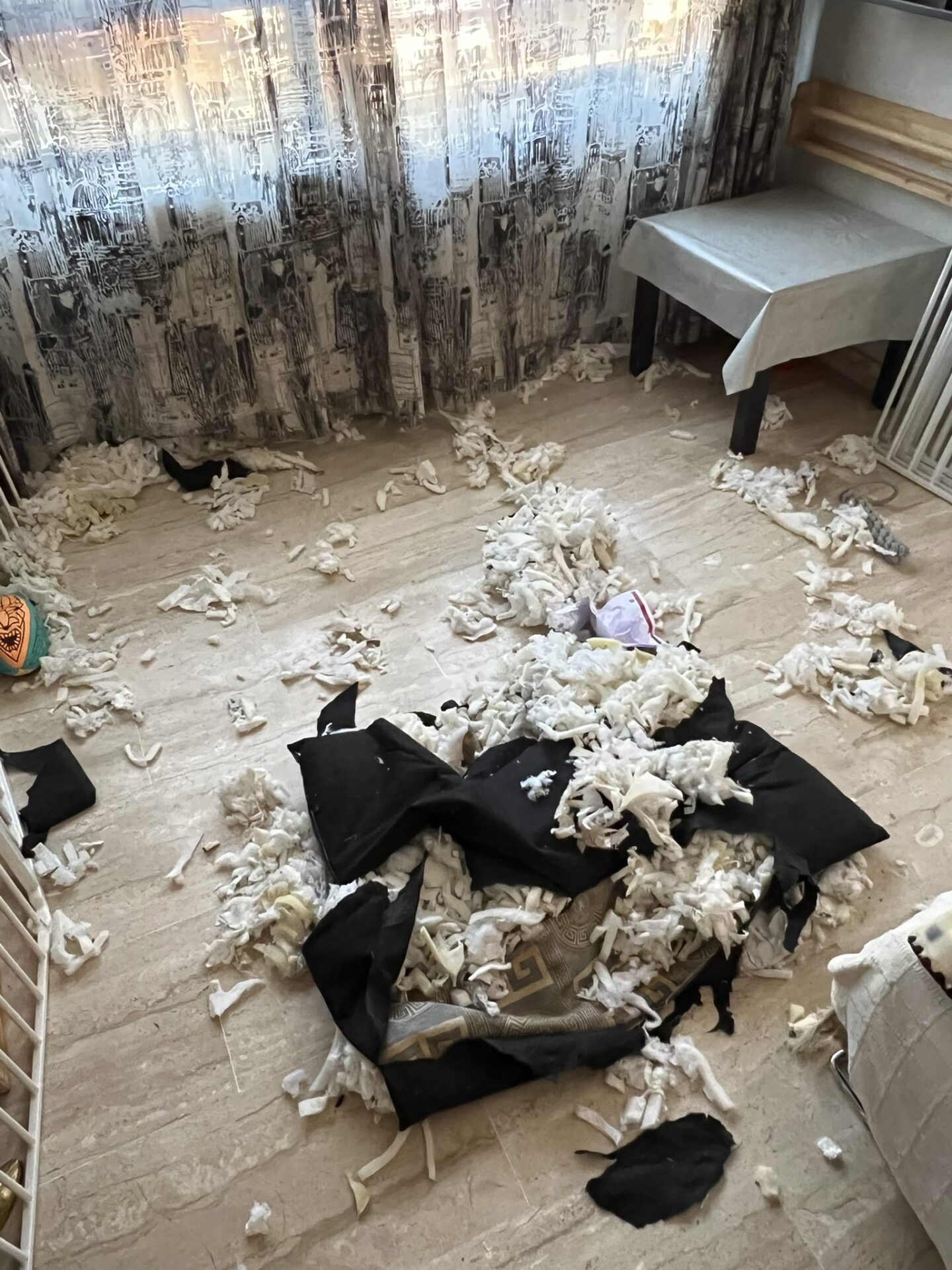la cama de Furia explotó