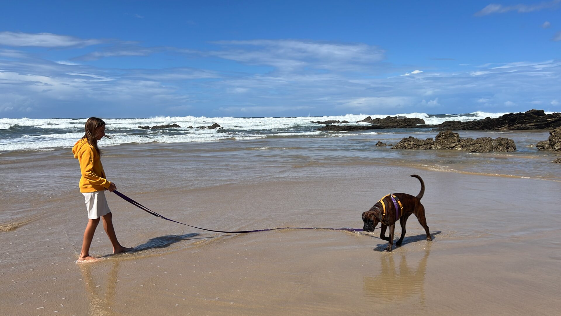 Joel y Furia con correa larga en la playa