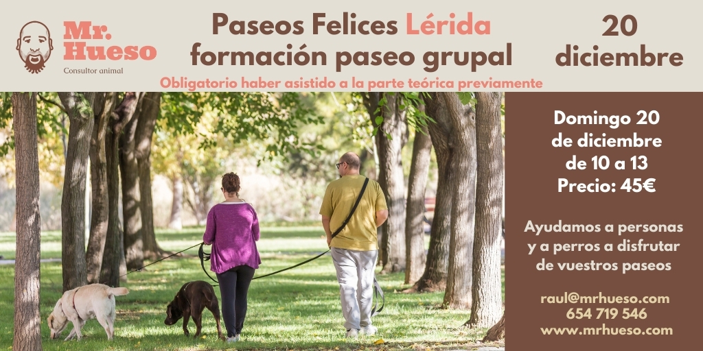 dos personas paseando con sus perros y la información de la actividad