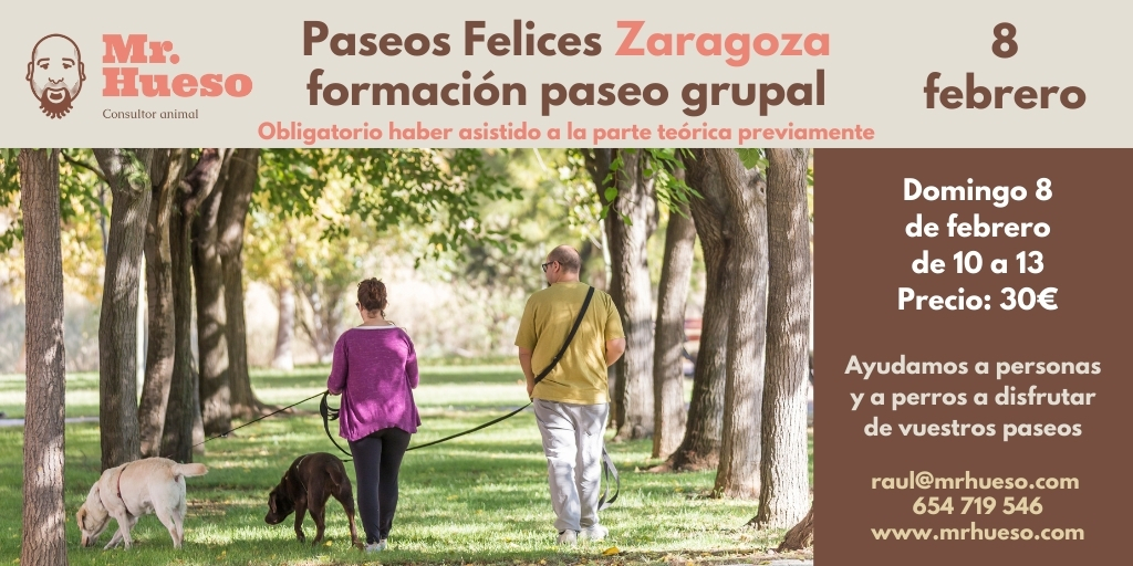 dos personas paseando con sus perros y la información de la actividad