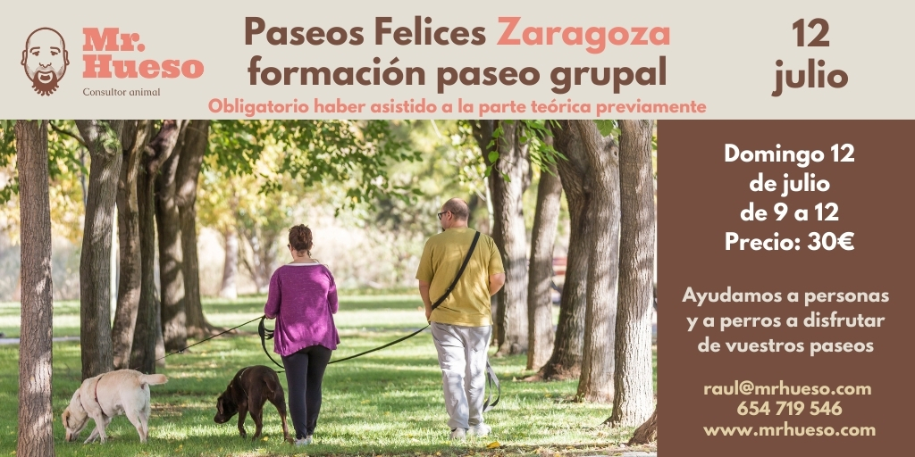 dos personas paseando con sus perros y la información de la actividad