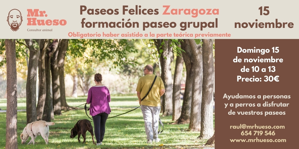 dos personas paseando con sus perros y la información de la actividad