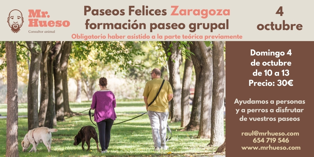 dos personas paseando con sus perros y la información de la actividad